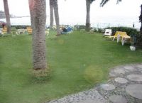 Foto Nr.:23