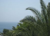 Foto Nr.:25