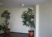 Foto Nr.:15