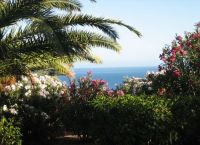Villa Altos de la Gloria - Meerblick