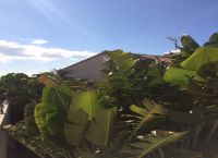 Foto Nr.:24