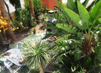 Foto Nr.:24