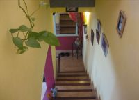 Foto Nr.:12