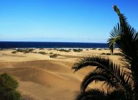 Bungalow an den Dünen - Playa del Ingles