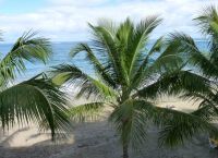 Luxusappartement Cabarete