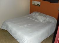 Foto Nr.:6