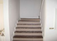 Foto Nr.:7