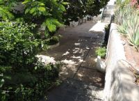 Foto Nr.:13