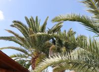 Foto Nr.:24