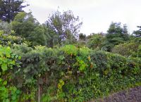 Foto Nr.:24