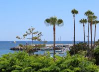 2 SZ-App. mit Meerblick in Puerto Rico
