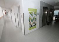 Foto Nr.:13