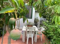 Traumhafter Privatgarten / 4 Monate im Winter
