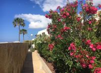 Foto Nr.:20