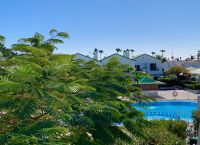 Bungalow zum Überwintern - Maspalomas